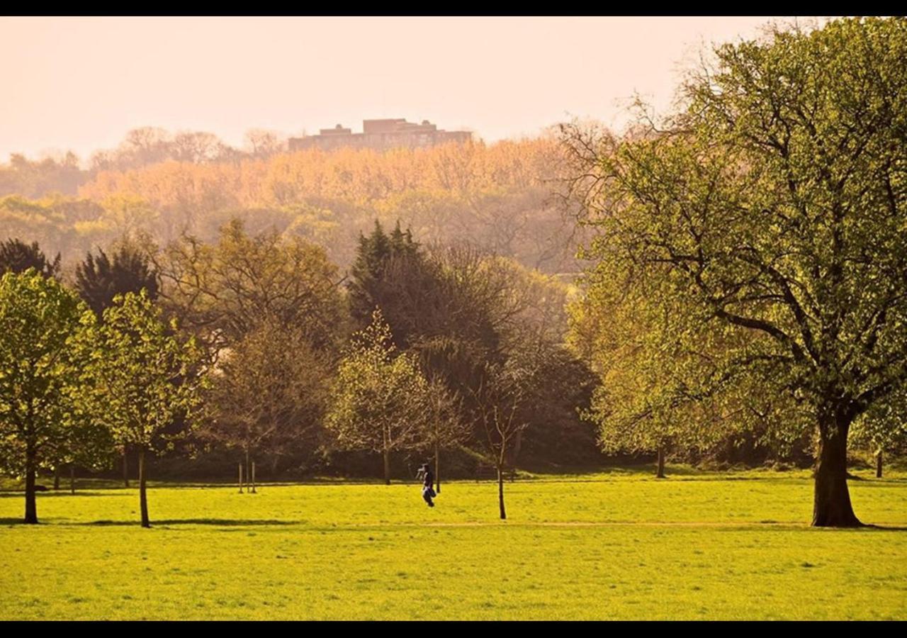 The Nest Of Forest Hill Londra Esterno foto